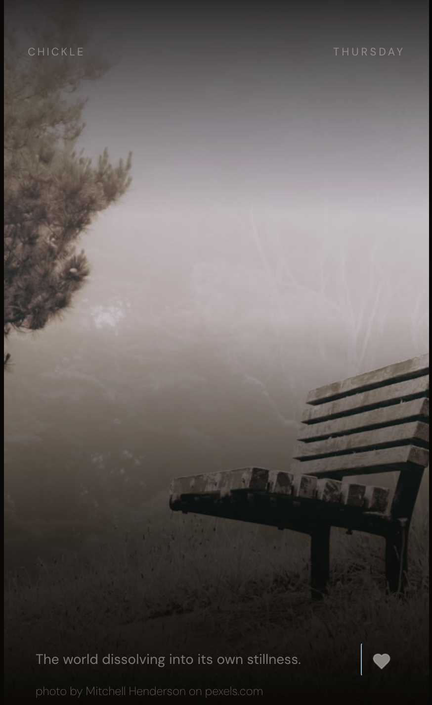 Chickle: a park bench in fog surrounded by pine trees, caption 'The world dissolving into its own stillness.'