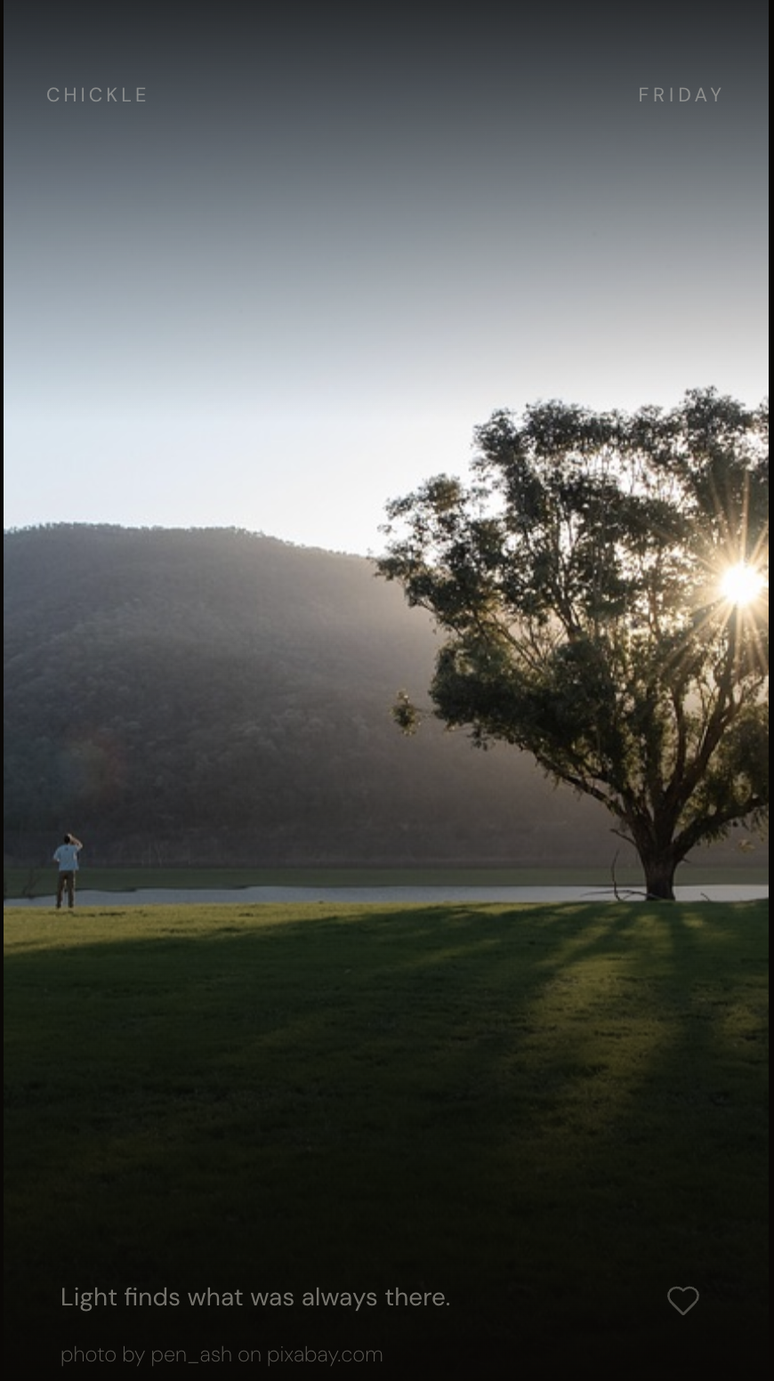 Chickle: a lone tree at sunset with a man standing at the water's edge, caption 'Light finds what was always there.'